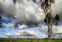 阿拉维斯主场不敌皇家马德里，遭遇两连败的简单介绍