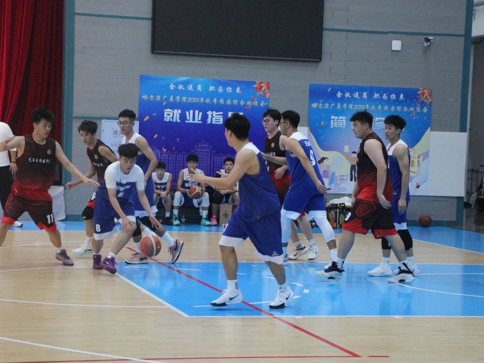 全球篮球比赛中各队团结拼搏，彼此竞争